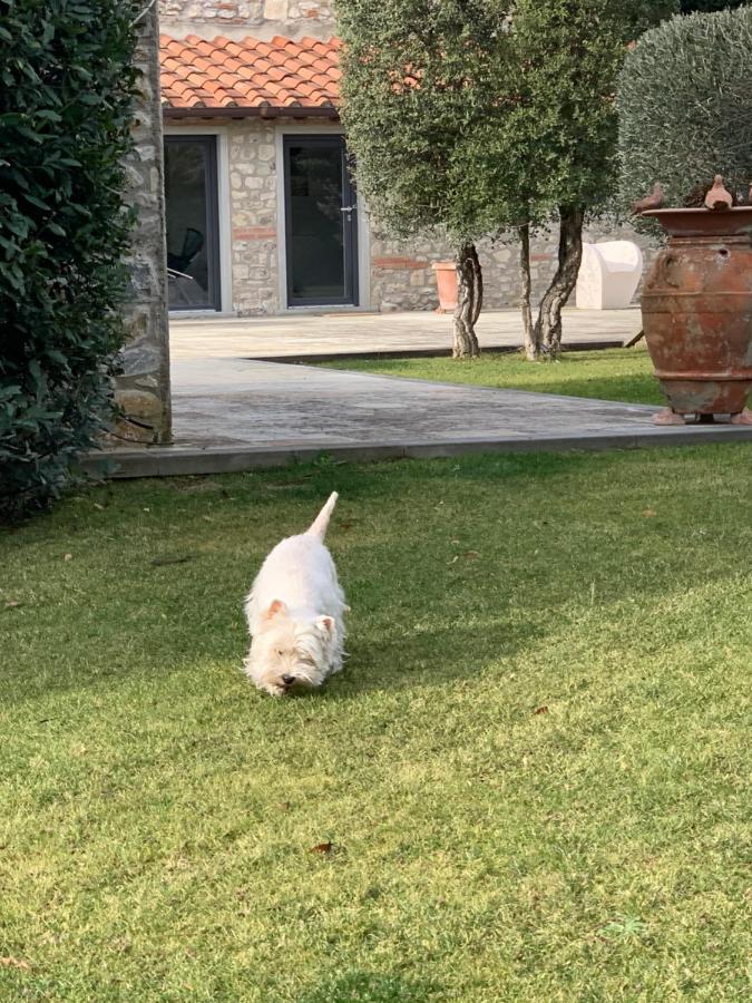 Rignano sullʼArno Appartamento In Villa Con Piscina - Mhateria Relais מראה חיצוני תמונה